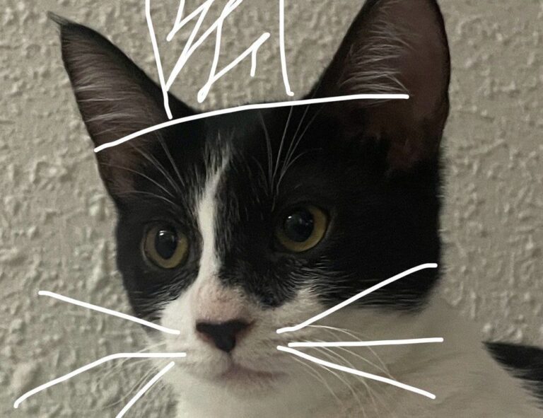 apply for a job at gotelako hotel