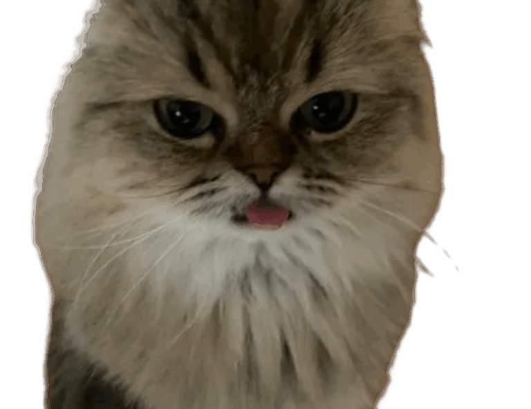 how to install mozillod5.2f5