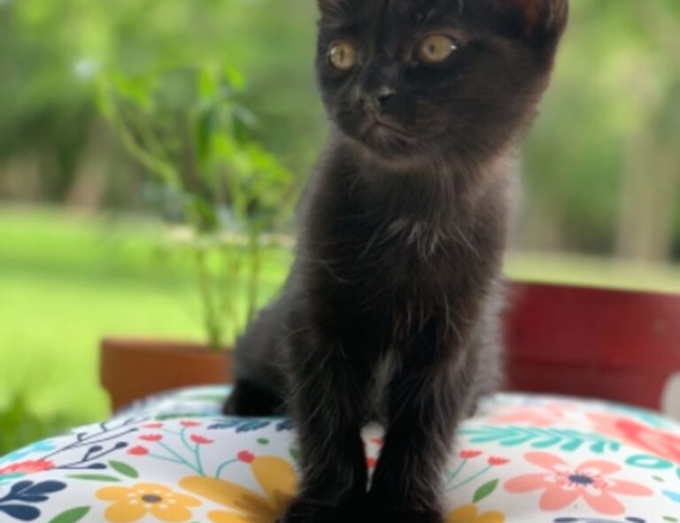 ideas for presents lwspeakgift