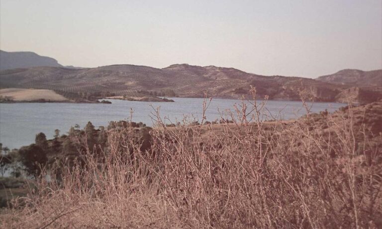 is higossis brush good for concealer