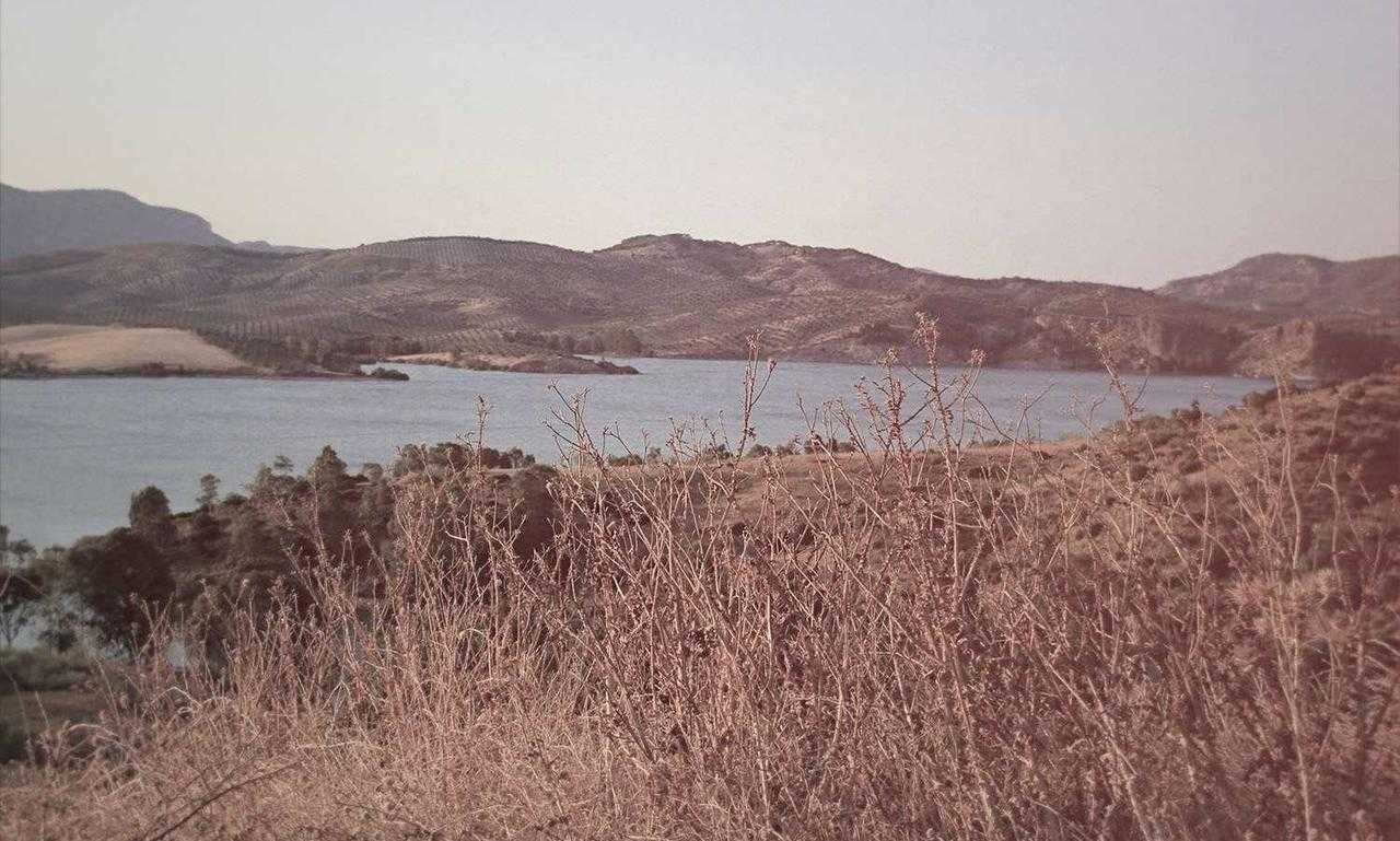 is higossis brush good for concealer