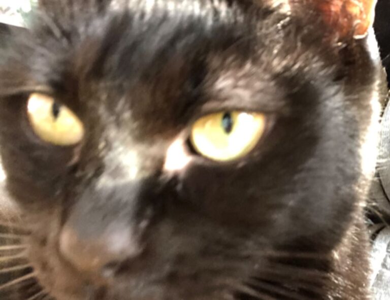 what about zirponax mover offense