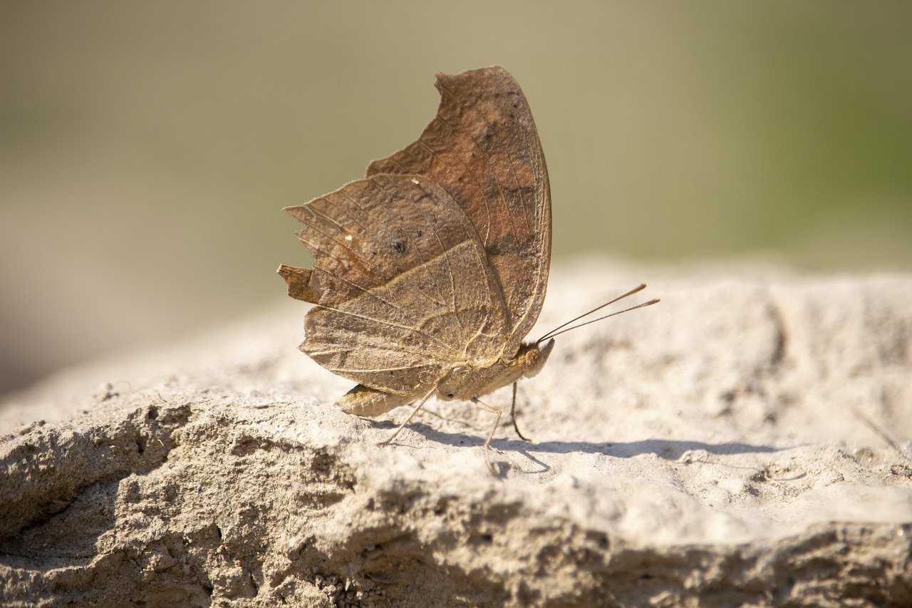 what are last minute gift ideas lwspeakgift