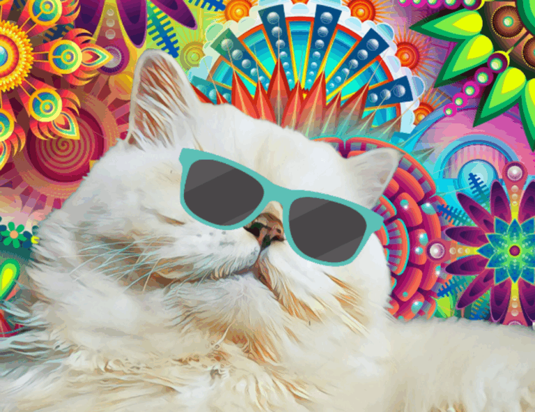 why biszoxtall software is needed