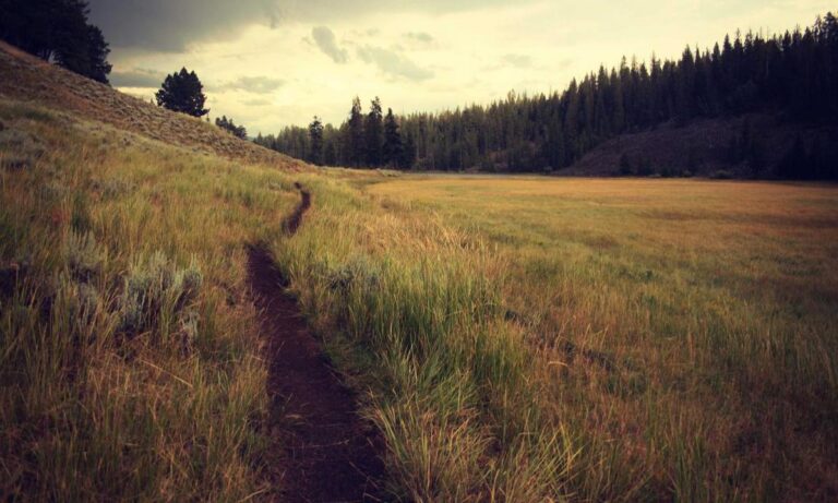 what gift should i get my wife lwspeakgift