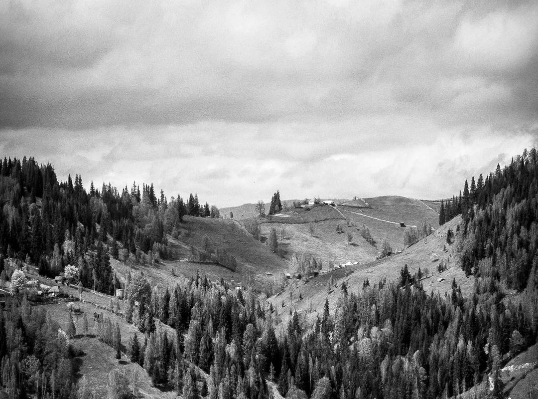 Debunking the Myth: A Medical and Logical Analysis