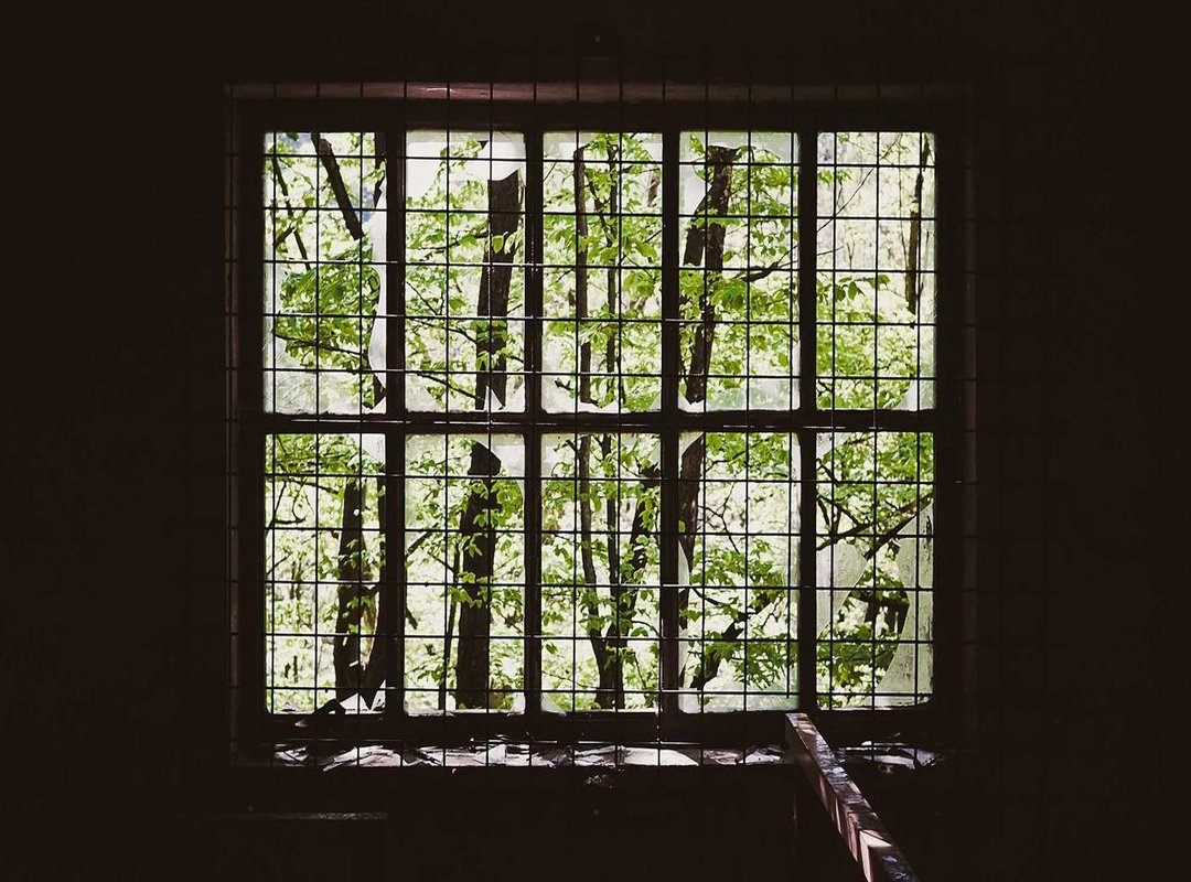 Comparing Popular Styles: Which Cut is Right for You?