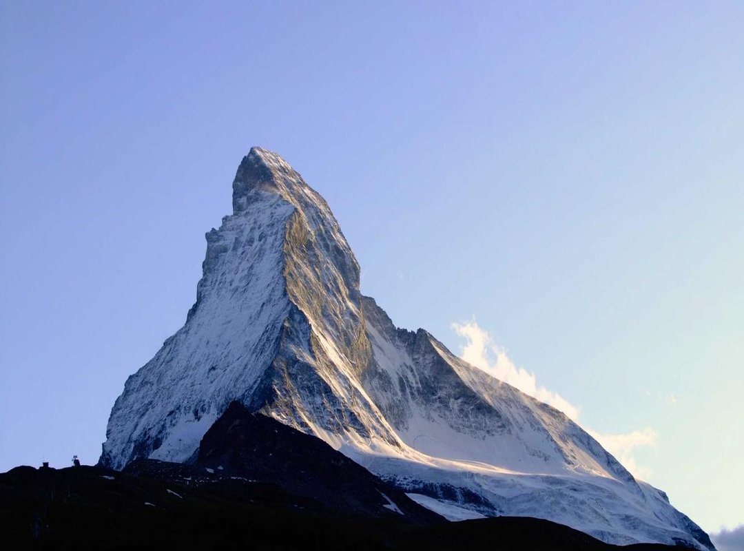 The Grim Discovery: Examining the Shoe's Condition and Contents