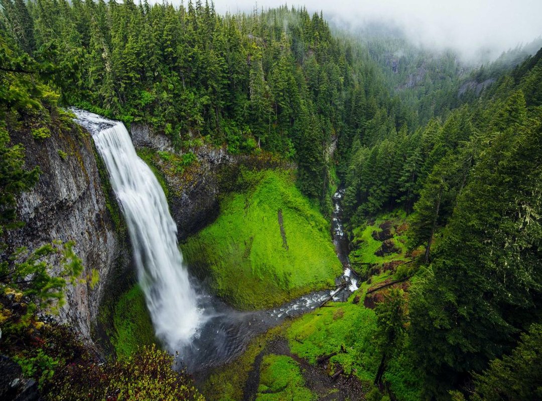 The Typical User Experience: What to Expect