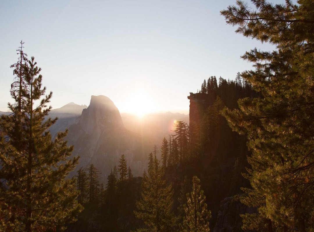 The Unfolding Mystery: What to Expect Next