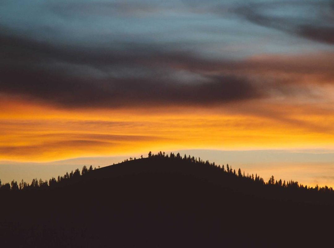 The Pros and Cons: Who Should Buy This Wine?