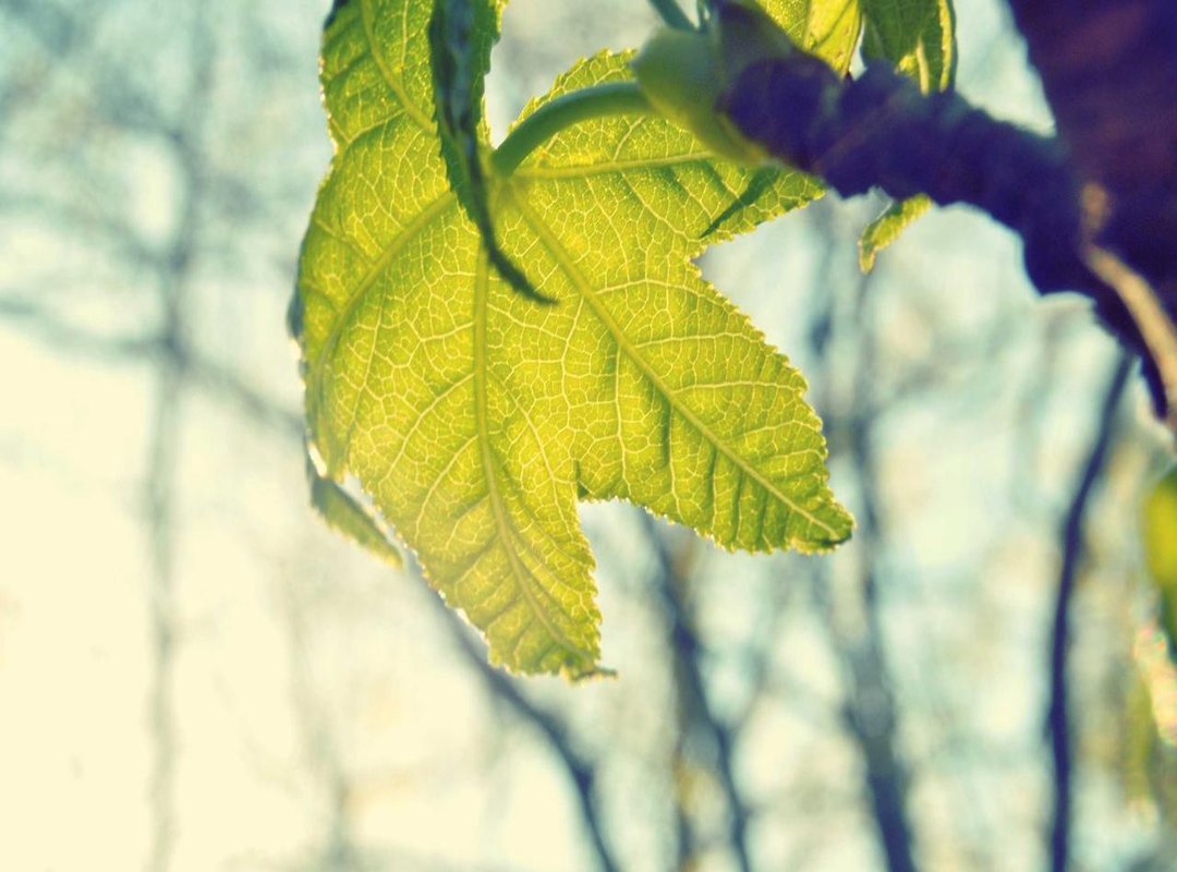 Warning Signs: How to Know if Your Regulator or Wiring is Bad